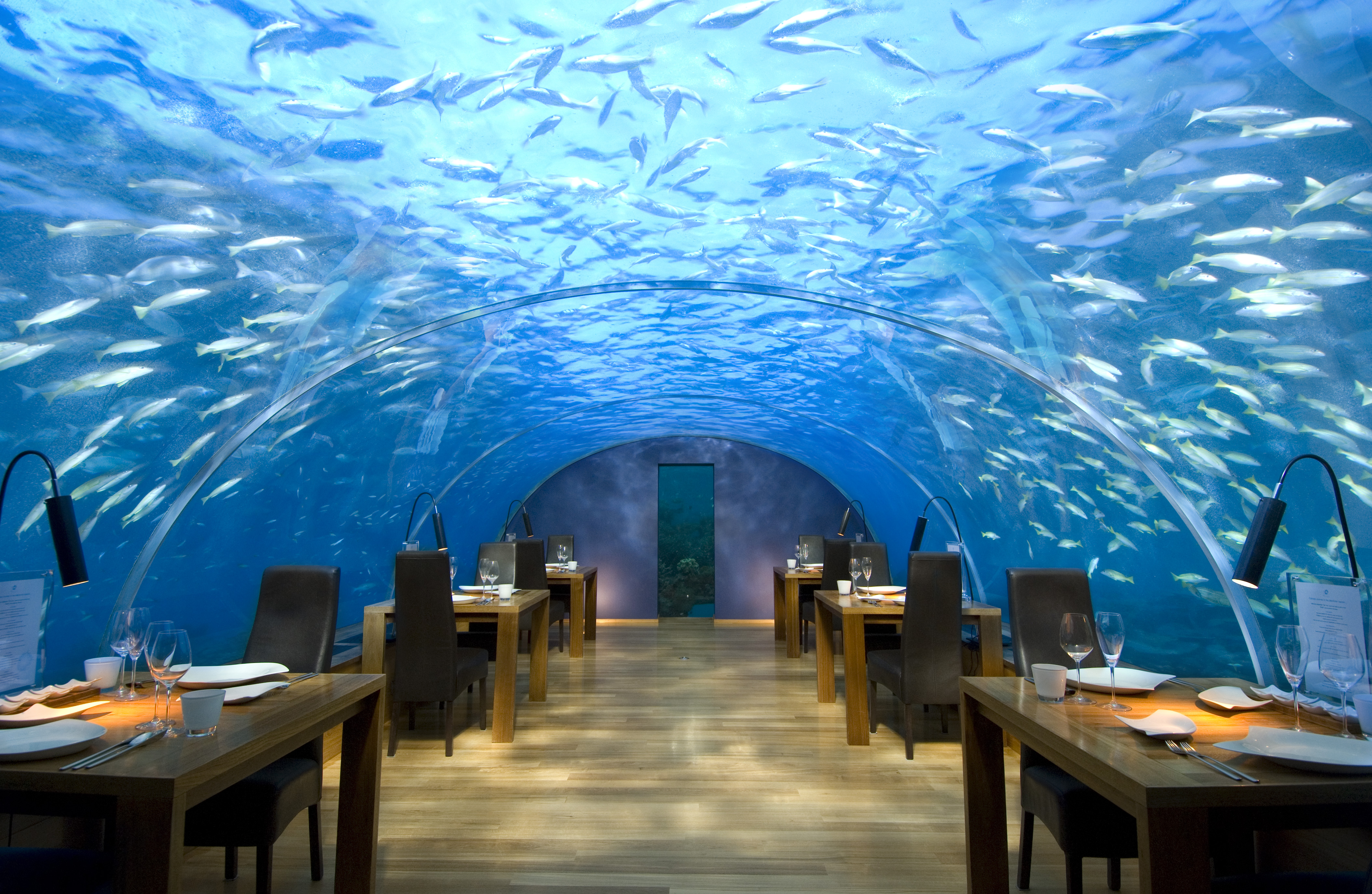 Conrad Maldives Rangali Island - Ithaa Restaurant