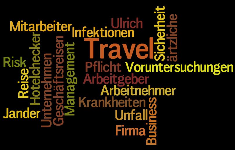 Travel Risk Management - Wortgitter - wordle.net